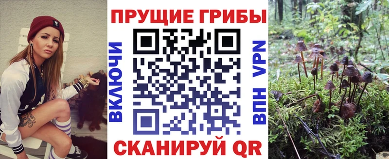 Псилоцибиновые грибы мухоморы  hydra ССЫЛКА  Калач-на-Дону 