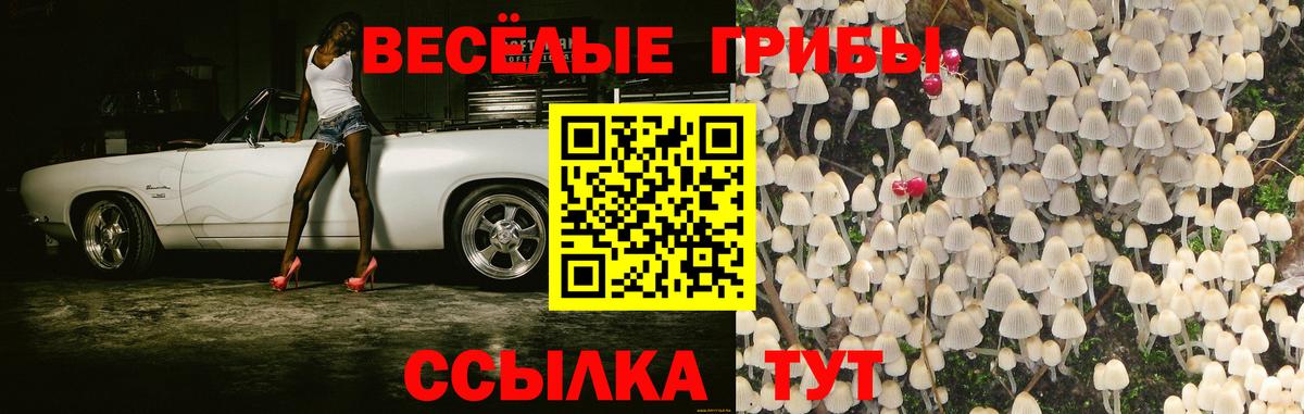 Калач-на-Дону  Галлюциногенные грибы ЛСД  Вход с VPN  Псилоцибиновые грибы мухоморы 